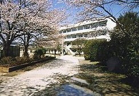 古和釜中学校(438m)