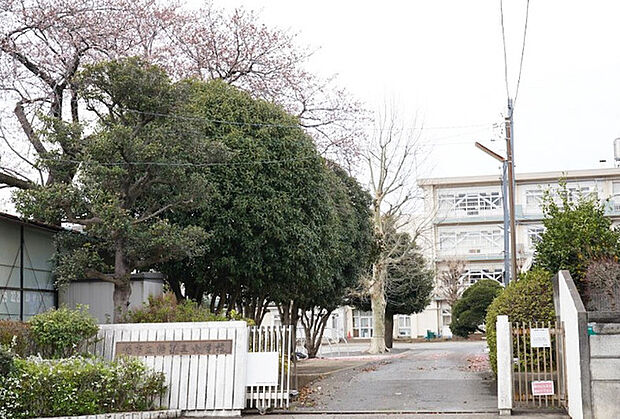 第五小学校(1266m)