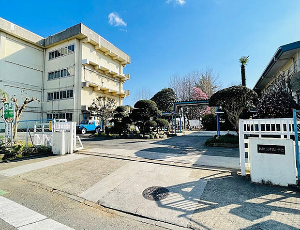 酒井根小学校(490m)