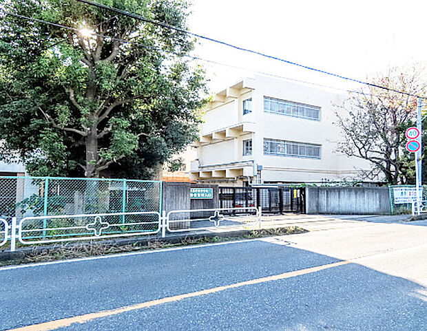 酒井根中学校(223m)