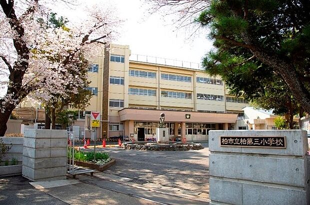 柏第三小学校(1107m)