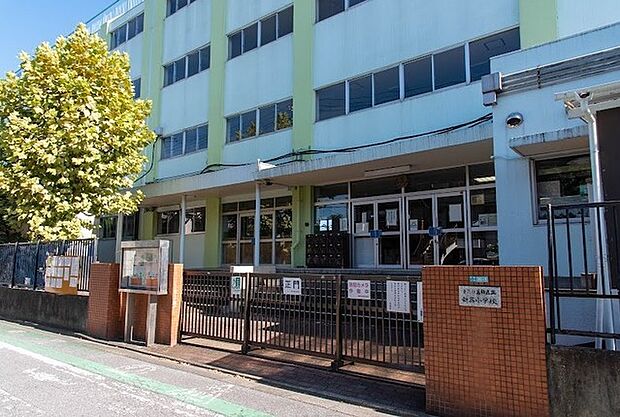 新宿小学校（665m）