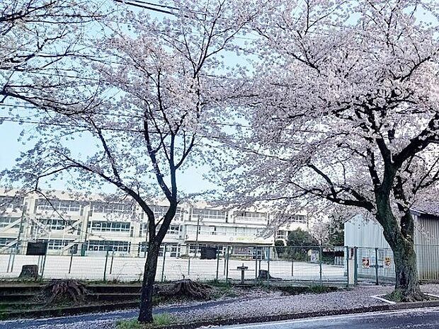 根木内小学校（1172m）