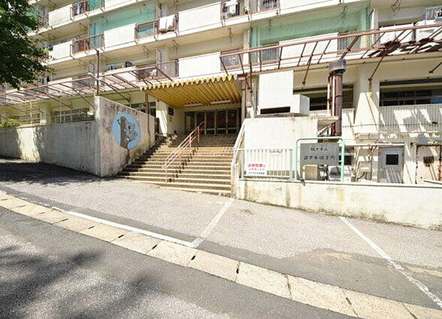 コアラ保育所（604m）