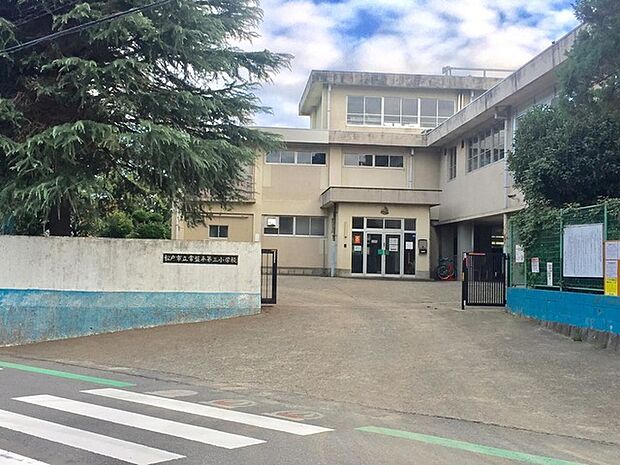 松戸市立常盤平第三小学校（350m）