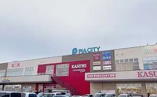 カスミフードスクエア柏中新宿店（466m）
