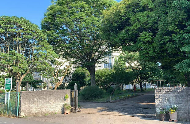 高田小学校(732m)