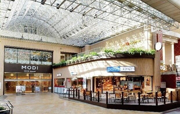 アインズ&トルペ柏モディ店(586m)