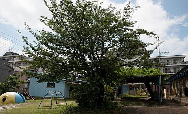 栴檀幼稚園（560m）