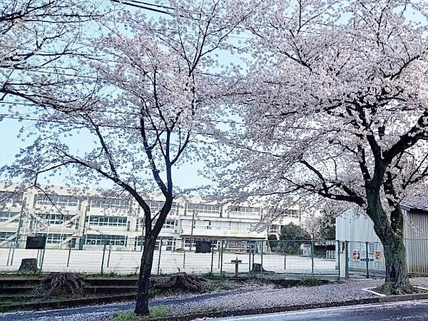 松戸市立根木内小学校（1000m）