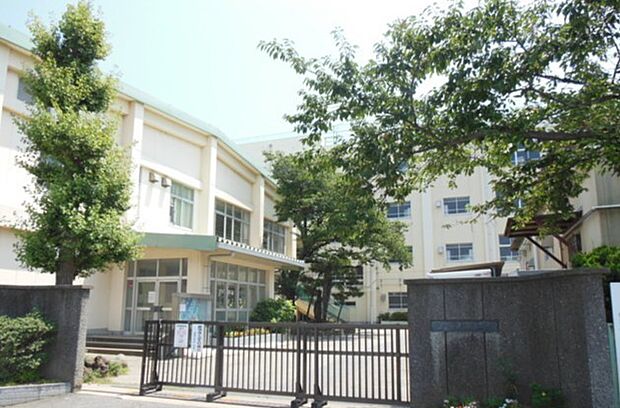 市川市立信篤小学校(900m)