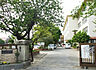 周辺：鎌ケ谷市立中部小学校（800m）