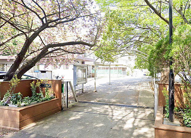 柏市立藤心小学校:徒歩11分(850m)