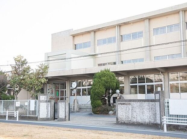 小金北小学校（406m）