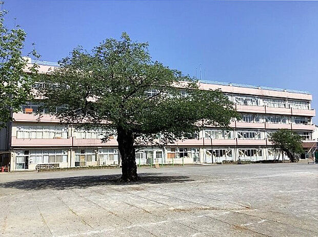 富勢小学校(450m)