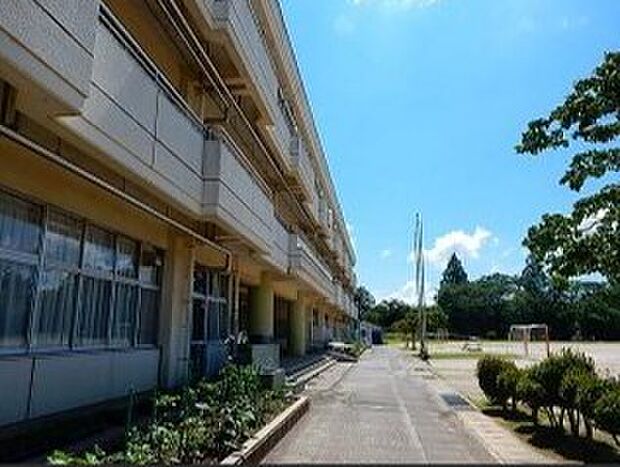 七光台小学校(518m)