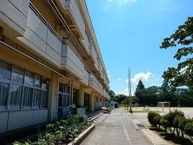 七光台中学校(556m)