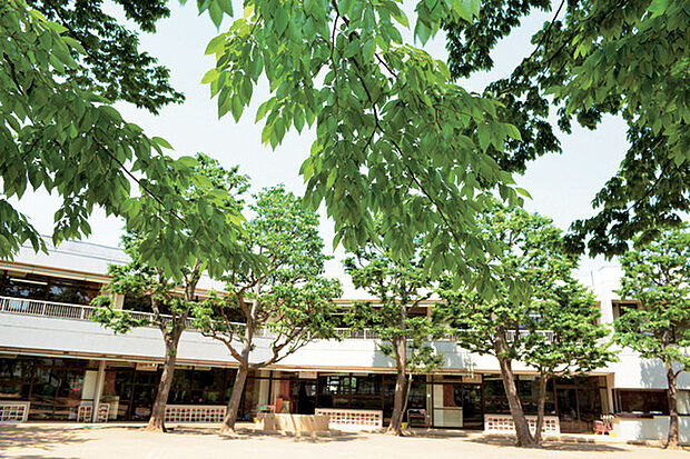 晴山幼稚園(200m)