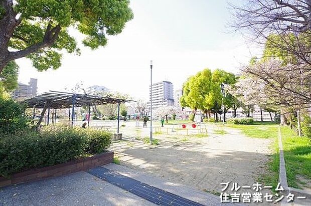 【公園】新北島南公園まで330ｍ