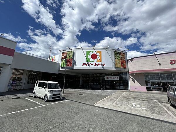デイリーカナート泉大津店まで徒歩9分 700m