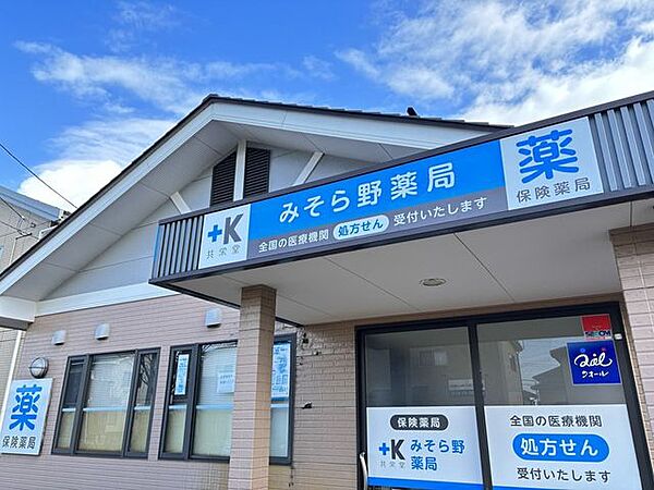 みそら野薬局 890m