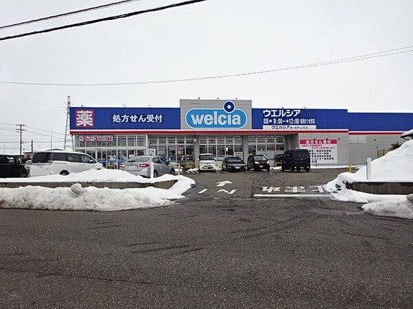 ウェルシア新潟さつき野店 1300m