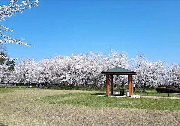 舞平公園 ブランコ・複合遊具・ターザンロープ・砂場などがある「ちびっこ広場」やどんぐりの実がたくさん実る「どんぐりの森」、のびのび走れる「芝生広場」があります。春には桜が公園全体に咲き誇り、お花見も…