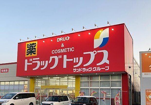 ドラッグトップス 河渡店 1030m