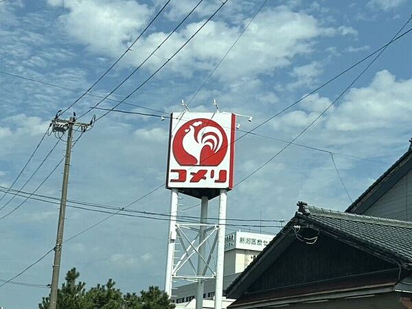 コメリハード＆グリーン小針店 1330m
