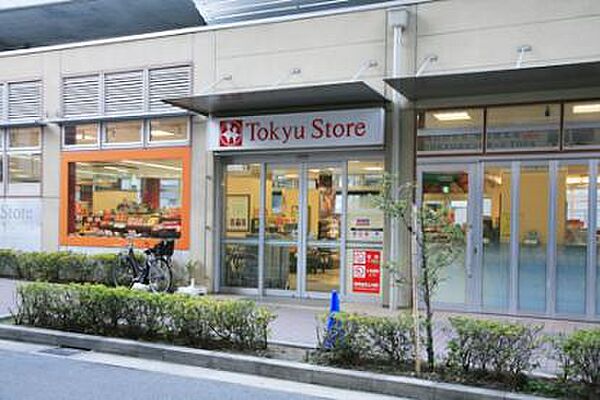 画像9:東急ストア　不動前店[250m]