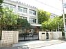 周辺：川崎市立田島小学校（280m）