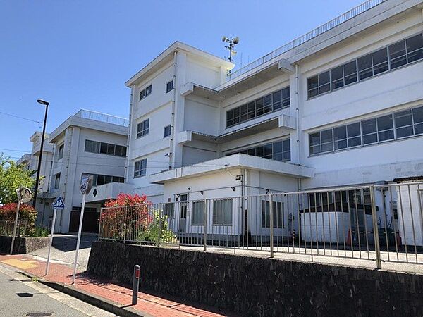 小学校 785m 横須賀市立衣笠小学校(お子様も安心の距離で学校の行事にも参加しやすいですね！)