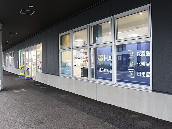 ドラッグストア 865m ハックドラッグ星天qlay店(化粧品や日用品、一般用薬品のお買い物に欠かせないドラッグストア。日々の暮らしに便利です！)