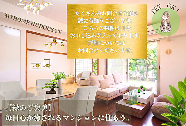 外観：313004754343