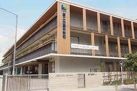 第二大島中学校 810m