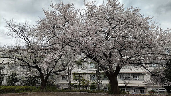 三田第4公園 徒歩1分