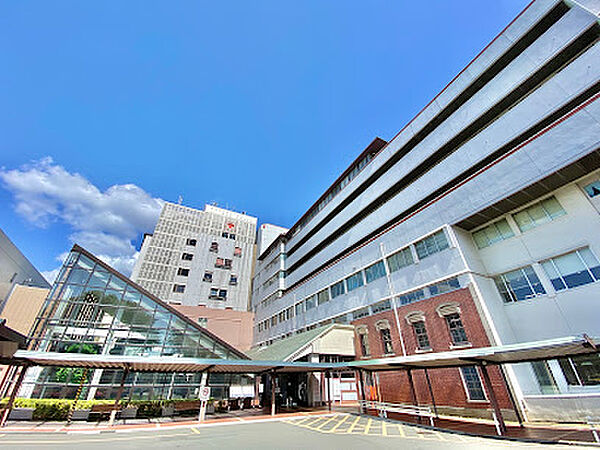 武蔵野赤十字病院　徒歩20分