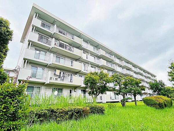 外観：313004864064