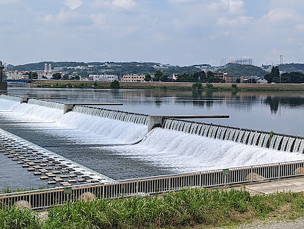 多摩川緑地公園 徒歩4分