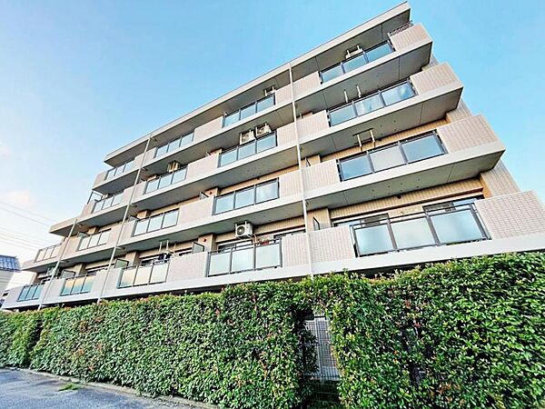 前面南向けの建物です。