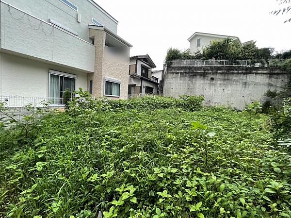 外観：311001193286