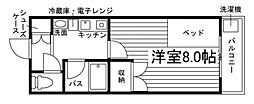 メゾン錦町 1Kの間取図画像