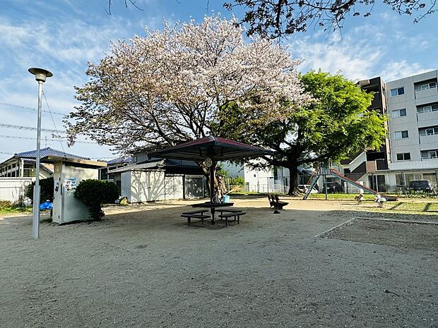 帯山三丁目公園まで約1600ｍ住宅街にある公園で遊具・トイレもあり安心です！