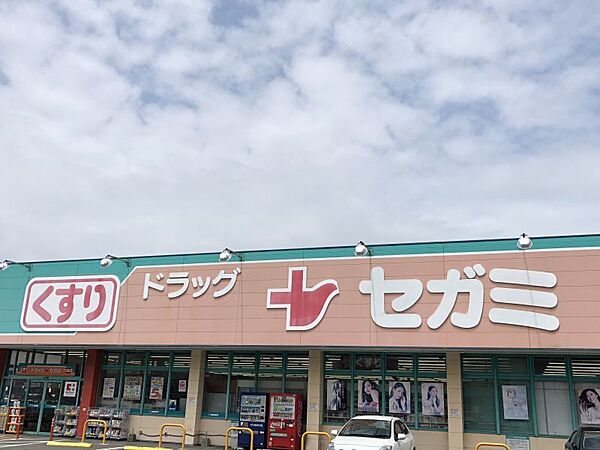 ドラッグセガミ菊南店まで　188m　徒歩約3分