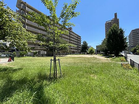 近くには公園があり、お子様の遊び場としてだけではなく、大人の運動不足解消にもなりますね♪