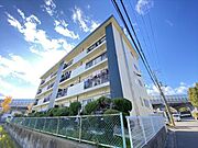 奈良コーポ 2階 築52年11ヶ月の賃貸物件