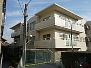 サンワロイヤルマンション2号館 3階 築38年8ヶ月の賃貸物件