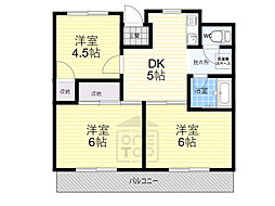 ピースフルハウス 3階/-