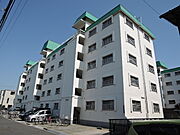 マンション沢良宜A棟 5階 築52年7ヶ月の賃貸物件