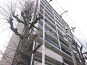 住吉大社駅より徒歩5分 7階 築1年8ヶ月の賃貸物件